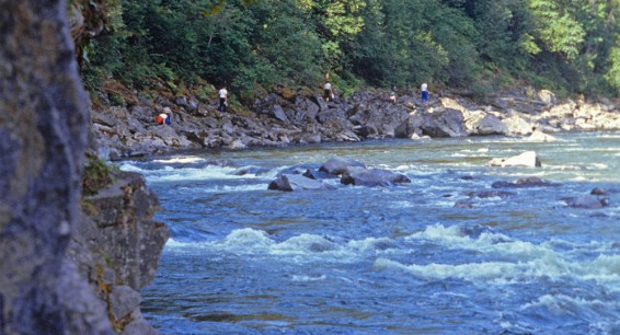 Ամուրի մարզում երեխան անտառ է գնացել՝ կարիքը հոգալու ու ոսկյա գանձ է գտել