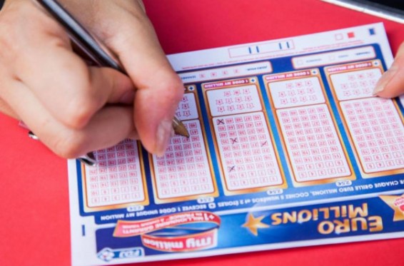 Ֆրանսիայում 14 հոգանոց ընտանիքը 28 մլն եվրո է շահել վիճակախաղով