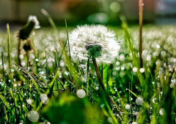 Հոկտեմբերի 7-10-ը սպասվում է առանց տեղումների եղանակ