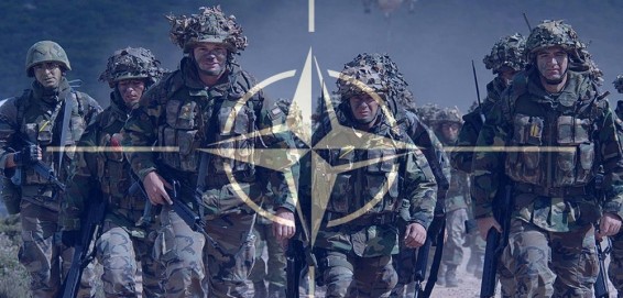 Президент Литвы: в NATO осознали необходимость в обороне стран Балтии