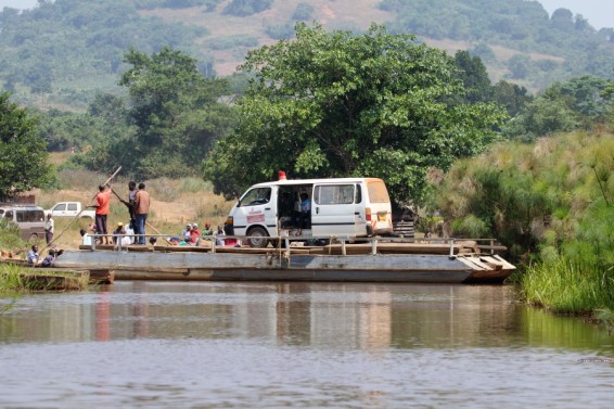 Ֆլորիդայում գտել են ալիգատորի հարձակմանը ենթարկված 2 տարեկան տղայի մարմինըԱղբյուրը