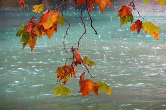 Սպասվում է անձրև և ամպրոպ