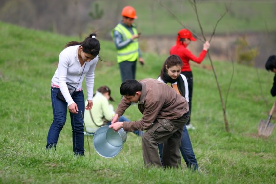 Նոյեմբերի 11-ին՝ համաքաղաքային ծառատունկ և շաբաթօրյակ