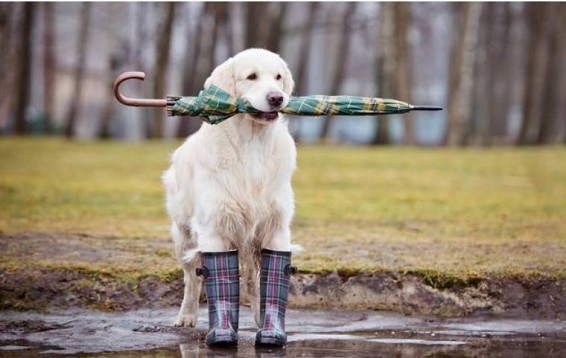 Օդի ջերմաստիճանը 23-26-ն աստիճանաբար կնվազի 12-15 աստիճանով