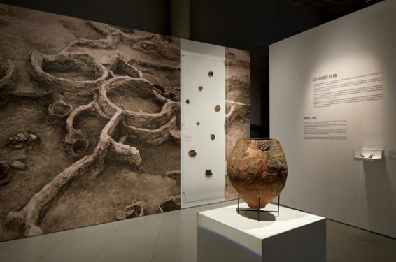 Վրացական գինին ներառվել է Գինեսի ռեկորդների գրքում՝ որպես ամենահինը