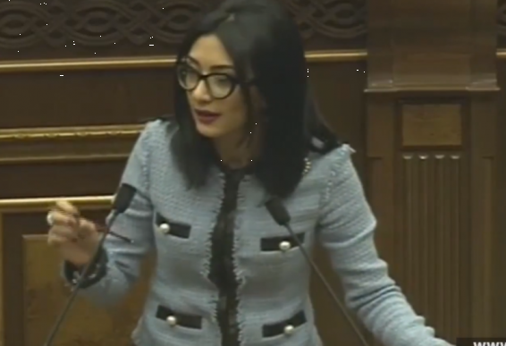 Video. Անձը, որի փոխարեն ընտրություն է կատարվել, չի կարող ճանաչվել տուժող. Արփինե Հովհաննիսյան