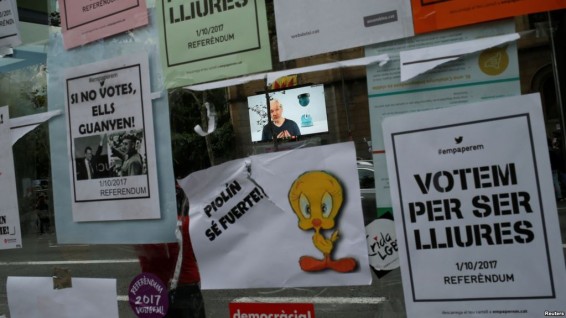 Деятельность WikiLeaks и Джулиана Ассанжа – предмет нескольких расследований