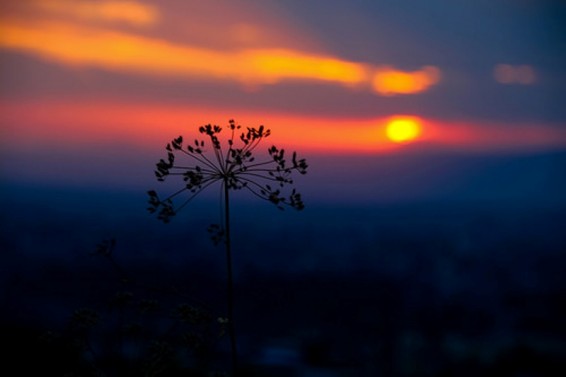 Այսօր ամենաերկար ցերեկն է