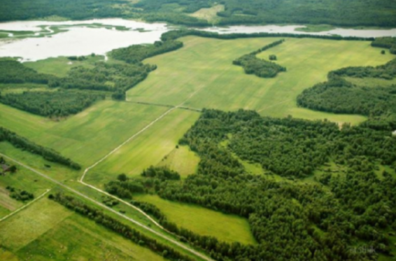 Մոսկվաբնակ Նարեկ Հովհաննիսյանը Հեռավոր Արևելքում մասնավոր կղզու տեր է դարձել