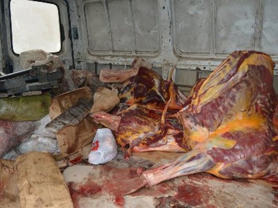 Կանխվել է ձիու մսեղիքի վաճառքը. դեպքը տեղի է ունեցել Խորենացի փողոցում