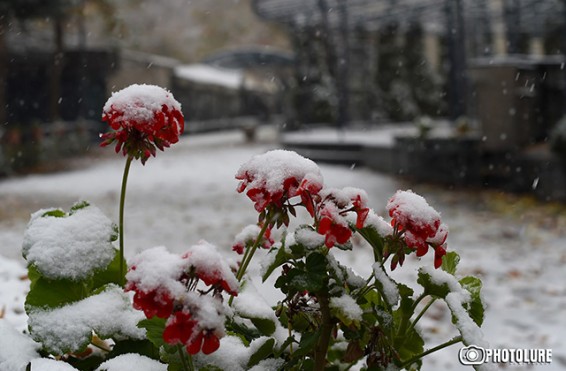 Վայքի, Ջերմուկի, Ապարանի ճանապարհներին ձյուն է տեղում. Գորիսում մառախուղ է