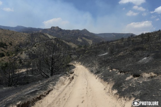 Հրդեհներ, որսագողության դեպքեր. ինչպիսին էր 2017թ. բնապահպանական տարին