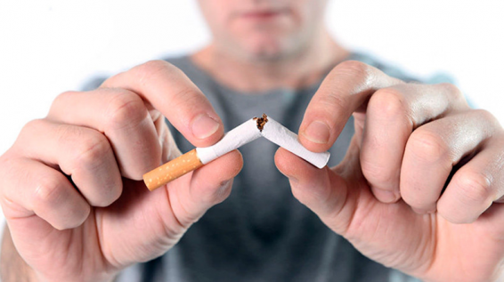 Այս նախագիծը ծխողների դեմ չէ. Ռոզա Բաբայան