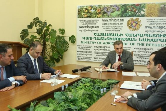 Գյուղատնտեսության զարգացման հիմնադրամի հոգաբարձուների խորհուրդը հաստատել է հիմնադրամի տարեկան հաշվետվությունը