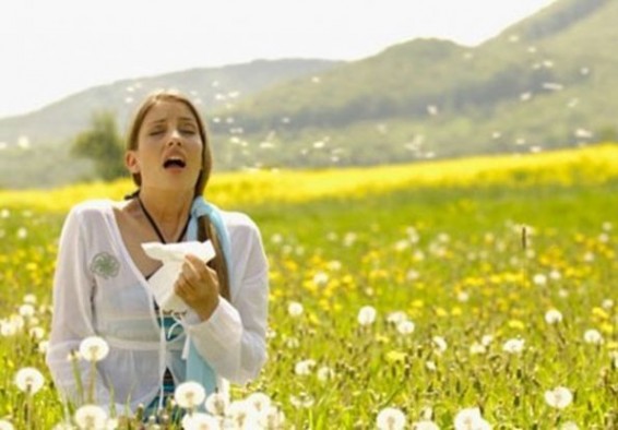Ալերգիայի գարնանային սրացումը մեղմելու  միջոցներ