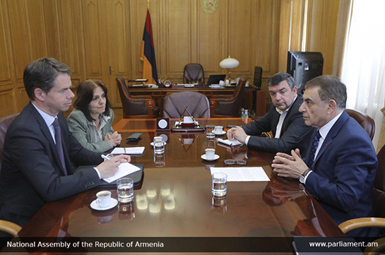 ՀՀ-ում Ֆրանսիայի դեսպանը կարևորել է խաղաղ ցույցերի անցկացման հնարավորությունը Հանրապետությունում