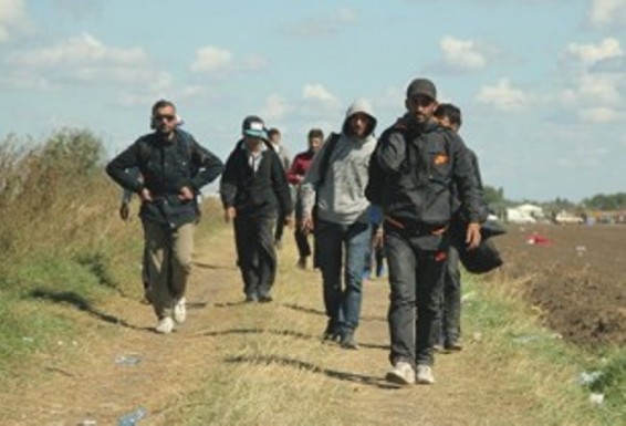 Սերբական ոստիկանությունը ներգաղթյալների մաքսանենգության ցանց է բացահայտել