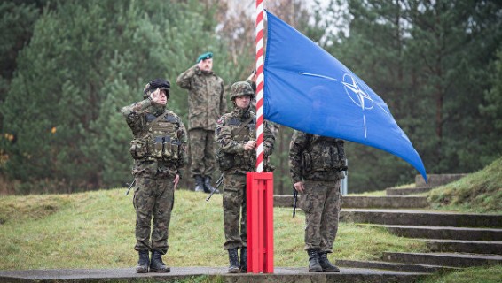 Глава комитета НАТО не считает батальон в Прибалтике значительной силой