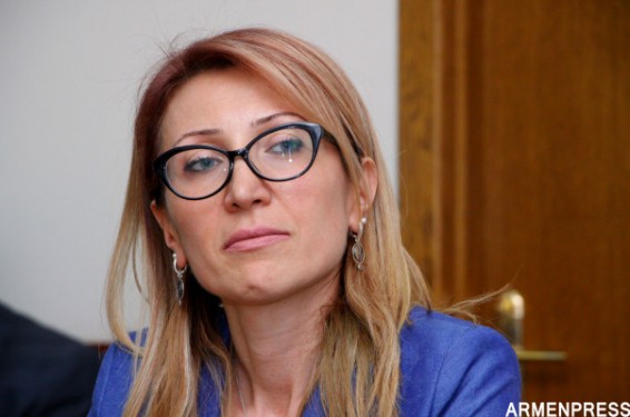 Հաշմանդամության խումբը վերականգնելու նպատակով հանձնարարվել է անցկացնել անհրաժեշտ գործիքային հետազոտություն. Մանե Թանդիլյան