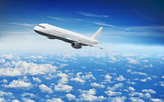 Մոսկվա-Երևան չվերթի ինքնաթիռով ժամանած հետախուզվողը ներկայացավ ոստիկանություն