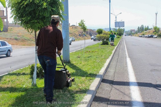 Խոտհունձը մայրաքաղաքում կընթանա մինչև խոր աշուն