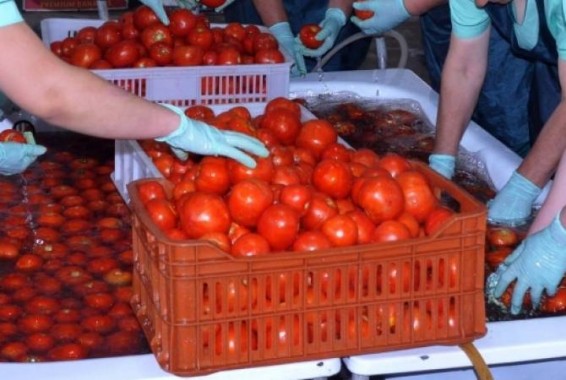 Սննդամթերքի անվտանգության տեսչական մարմինը պահածոյի գործարանի 65 աշխատակցի ժամանակավորապես զրկել է աշխատանքի իրավունքից