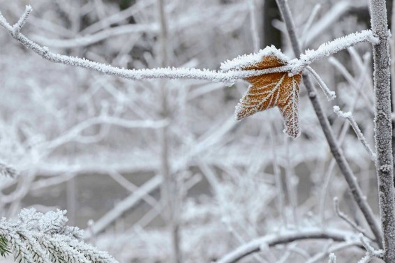 Հանրապետությունում օդի ջերմաստիճանը կնվազի