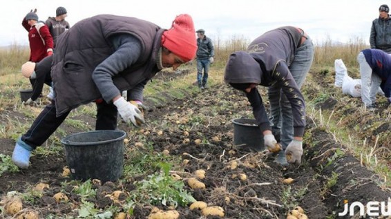 Այնինչ օսլան վնաս է քաղաքականությանը
