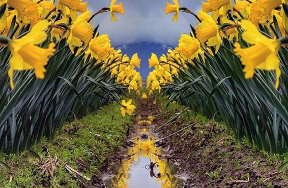 Օդի ջերմաստիճանը կբարձրանաՕդի ջերմաստիճանը կբարձրանա