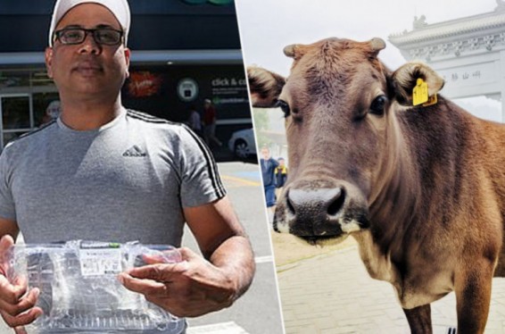 Հնդիկ տղամարդը սխալմամբ տավարի միս է կերել և ինքնատիպ փոխհատուցում է պահանջում սուպերմարկետից, որտեղից այն գնել էր գառան մսի պիտակով