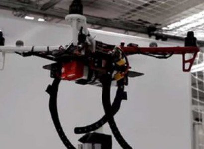 Ստեղծել են եզակի դրոն՝ ճյուղերի վրա հանգստանալու հնարավորությամբ