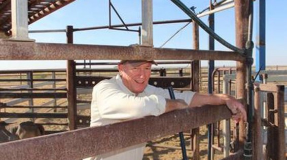 Ավստրալիացի քաղաքական գործիչը հարվածել է իր գլխին ձվով խփած անչափահասին