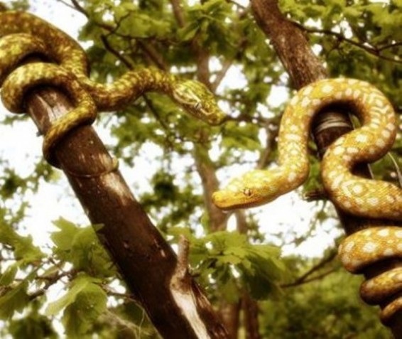 Որոշվել է աշխարհի ամենավտանգավոր կղզին