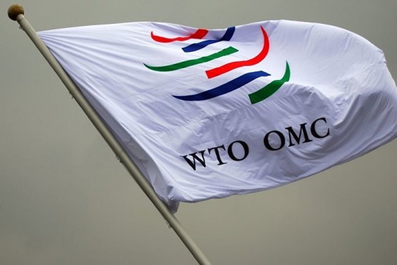 Հնդկաստանի և Թուրքիայի խախտումների պատճառով ԵՄ-ն ԱՀԿ է դիմել