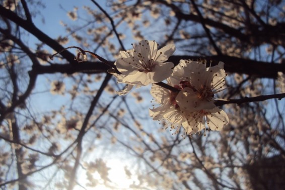 Օդի ջերմաստիճանը 6-17-ի ցերեկը կնվազի 8-10 աստիճանով