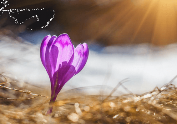Օդի ջերմաստիճանը  կնվազի