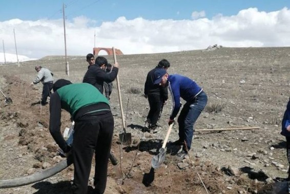 Վարդենիսում երկրորդ գերեզմանատան տարածքում բարեկարգում է սկսվել