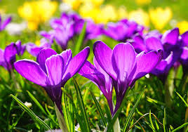 Օդի ջերմաստիճանը մայիսի 1-ին կբարձրանա