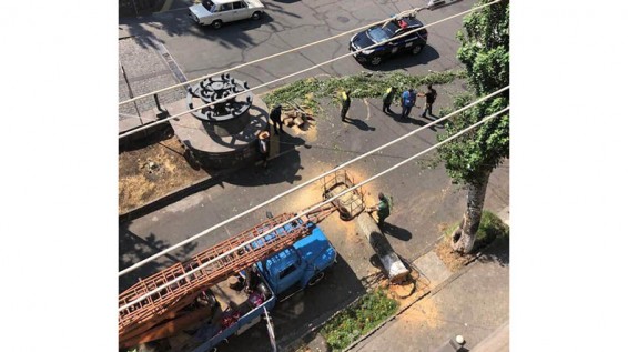 Քաղաքապետարանում տեղյակ են Մատենադարանի հարևանությամբ հատվող ծառերի մասին