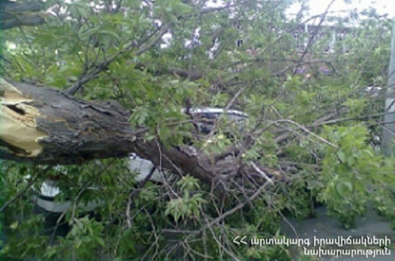 Երևանում ծառը կոտրվել, ընկել է ճանապարհի և մասամբ՝ մոտակայքում կայանած ավտոմեքենայի վրա