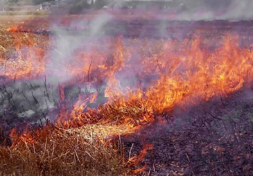 Հրշեջ-փրկարարները հանրապետության տարածքում մարել են մոտ 92.2 հա խոտածածկ տարածքներում բռնկված հրդեհները