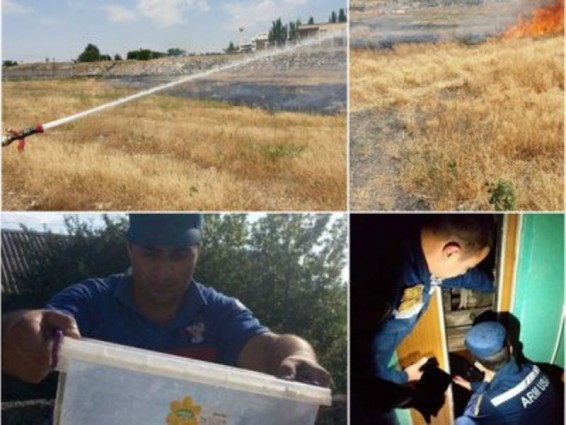 Հայաստանում օգոստոսի 5-11-ը գրանցվել է 826 դեպք, որից 562-ը՝ արտակարգ. ԱԻՆ.