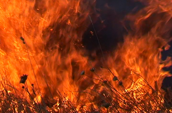 Սարավան գյուղում այրվում է մոտ 6.5 հա անտառածածկ տարածք. հրդեհաշիջմանը մասնակցում են նաև զինծառայողներ