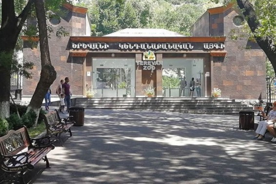 Рабочее время зоологического парка Еревана меняется