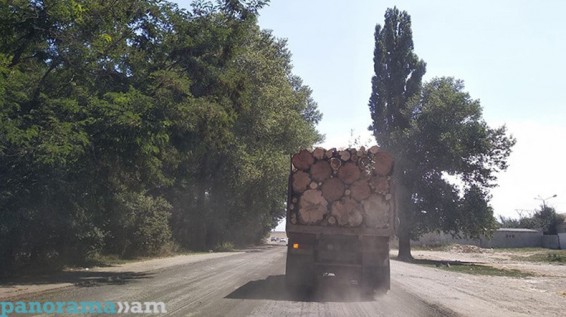 Գուգարքի ոստիկաններն ապօրինի փայտանյութի տեղափոխման հերթական դեպքն են բացահայտել
