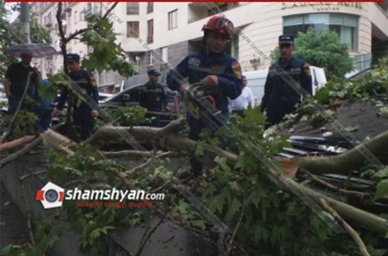 Արամի փողոցում քամու հետևանքով ծառի ճյուղը պոկվել ու ընկել է Mercedes-ների և BMW X5-ի վրա. Shamshyan.com