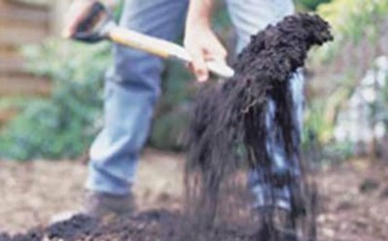 Ադրբեջանի բնակիչը սպանել է կնոջն ու թաղել բակում