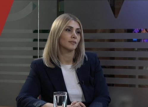 «Դաշնակցական երիտասարդների նկատմամբ կիրառված միջոցներն իրավաչափ չէին». Էլինար Վարդանյան