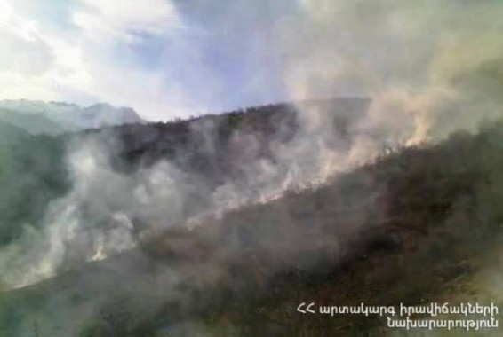 В Капане сгорело около 1.5 га  растительности