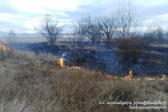 Возобновлены работы по пожаротушению на армяно-грузинской границе